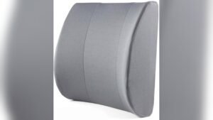 Best Lumbar Support for Couch