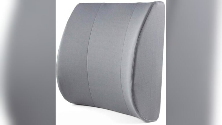 Best Lumbar Support for Couch