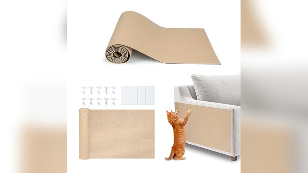 Best Material for Couch With Cats