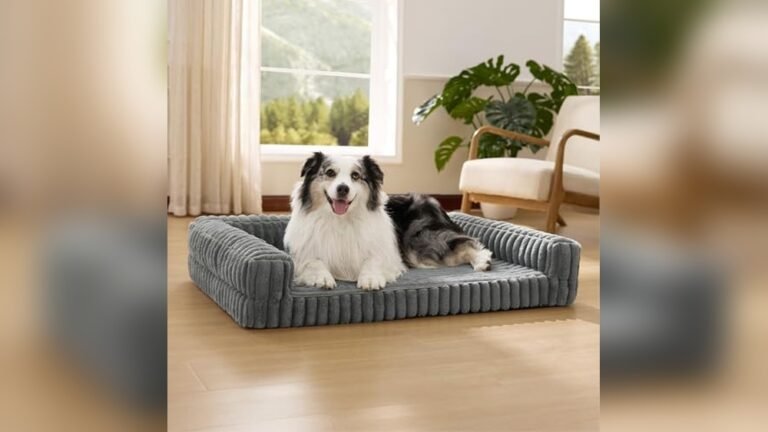 Best Material for Sofa With Pets