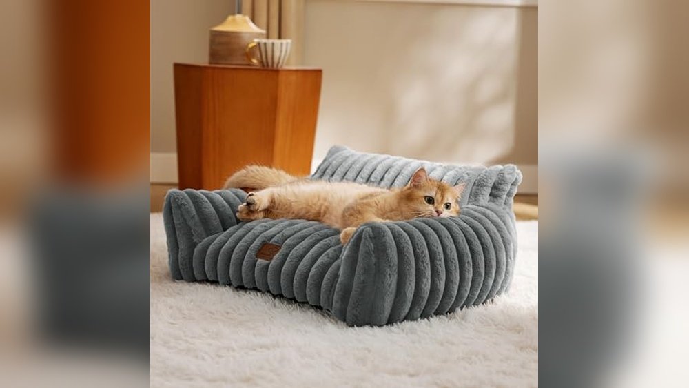 Best Material Sofa for Cats