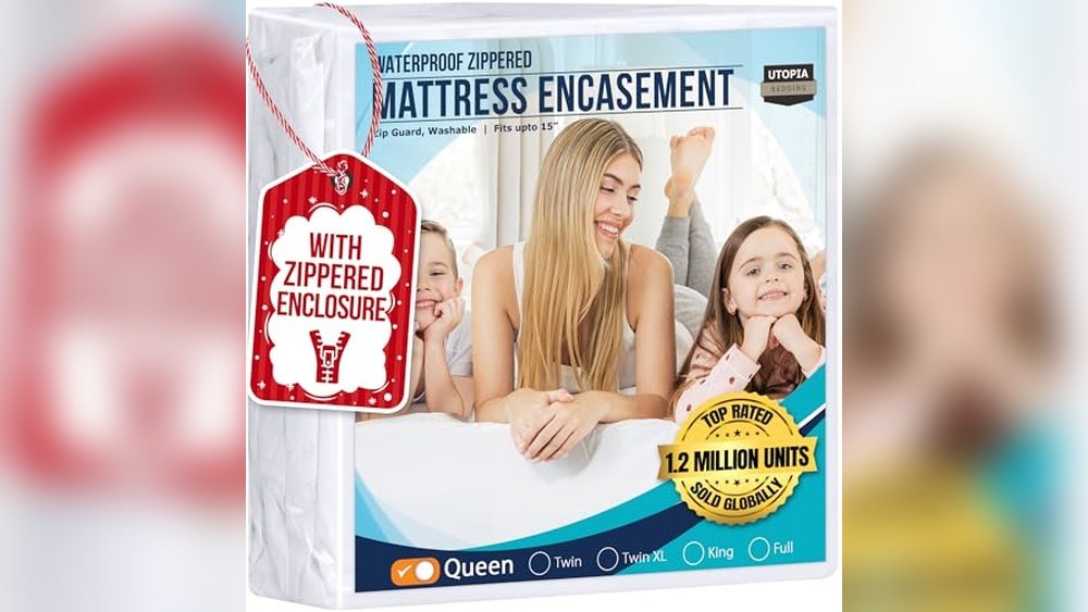 Best Mattress Cover for Bed Bug Protection