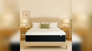 Best Mattresses for Stomach Sleepers With Back Pain