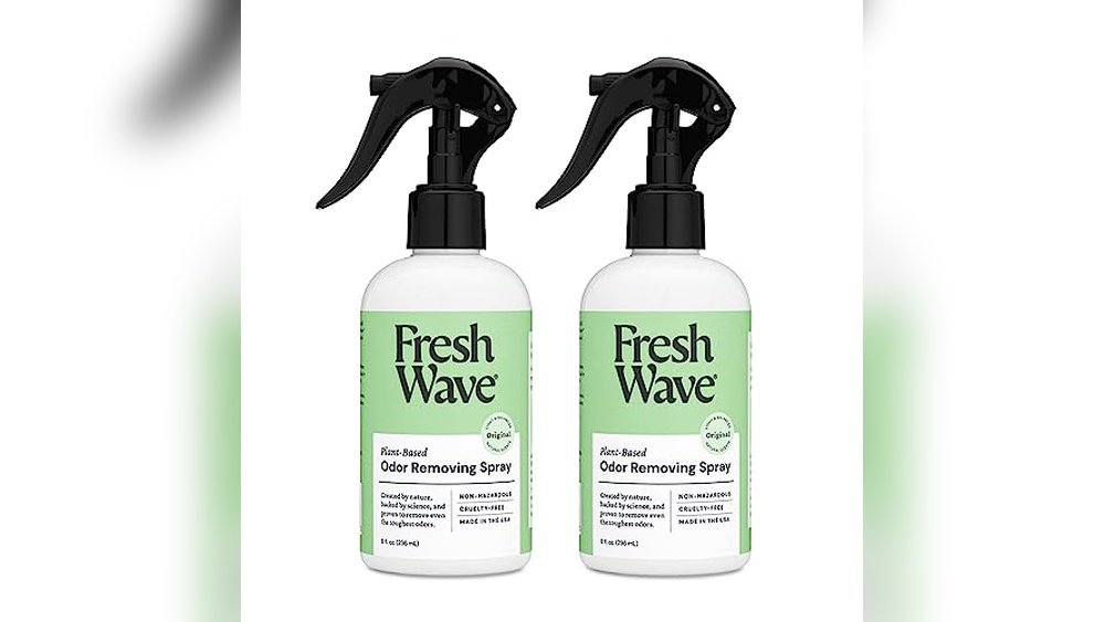 Best Odor Eliminator for Fabric Couch