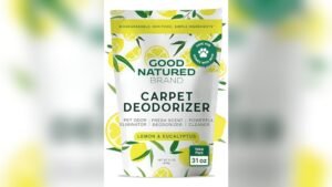 Best Odor Remover for Couch
