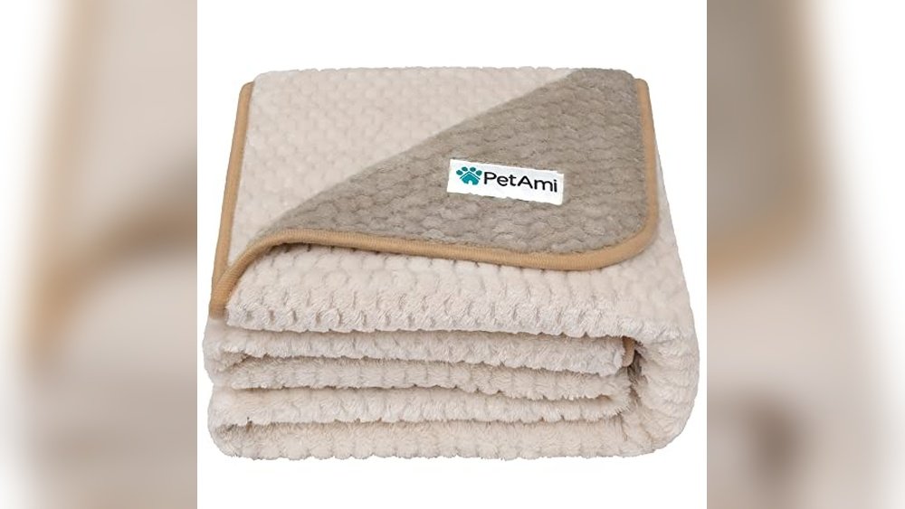 Best Pet Blanket for Couch