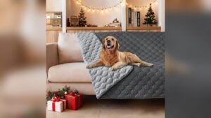 Best Pet Cover for Leather Couch