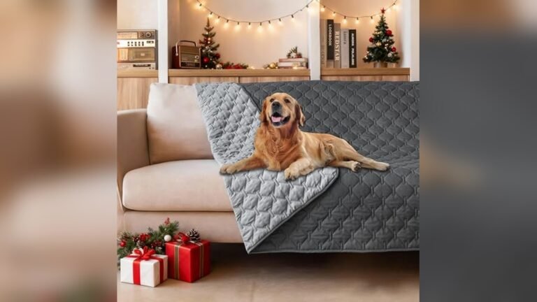 Best Pet Cover for Leather Couch