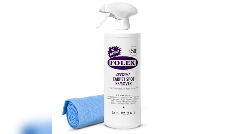 Best Pet Stain Remover for Couch