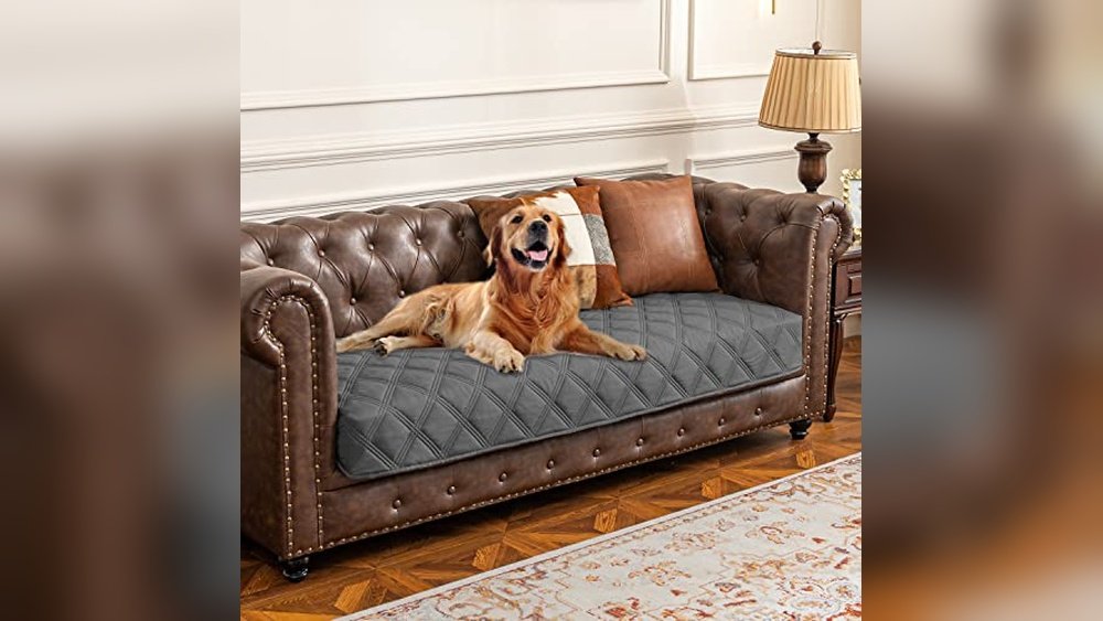 Best Reclining Couch Covers for Dogs