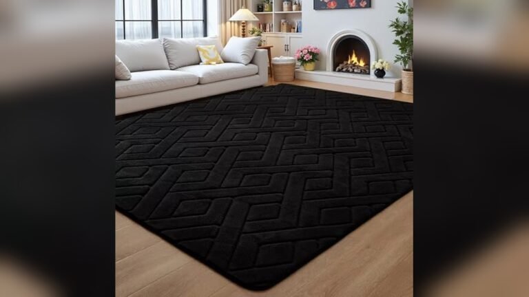 Best Rug Color for Black Couch