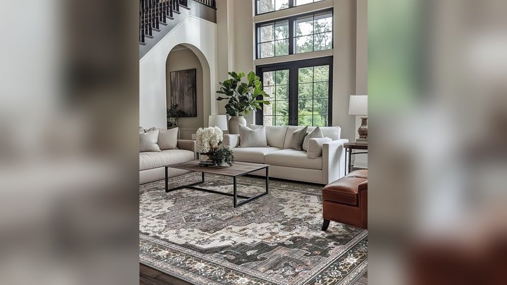 Best Rug Color for Grey Couch