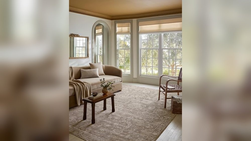 Best Rug Colors for Taupe Sofa