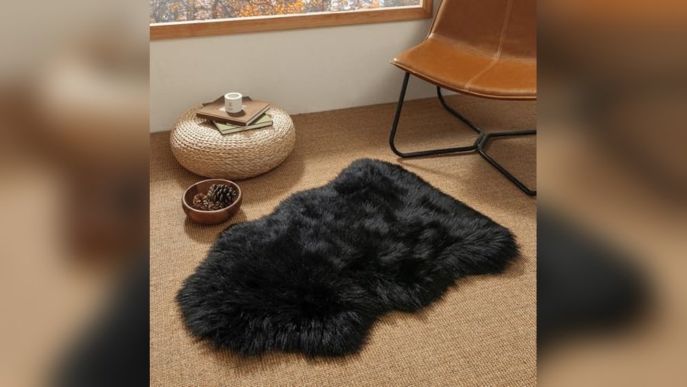 Best Rug for Black Leather Couch