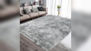 Best Rug for Gray Couch