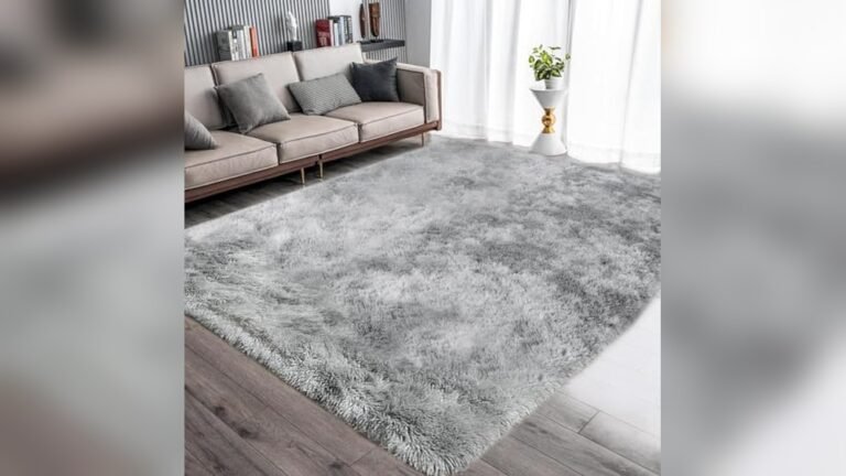 Best Rug for Gray Couch