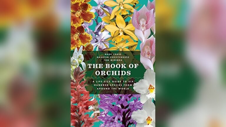 Best Size for Coffee Table Book