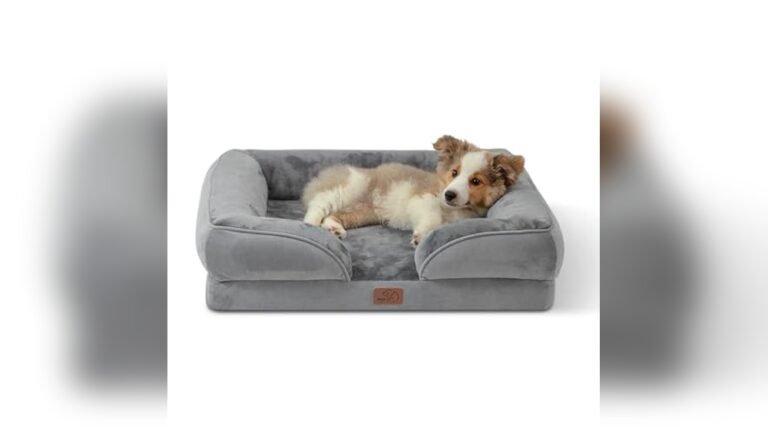 Best Sofa Fabric for Cats And Dogs