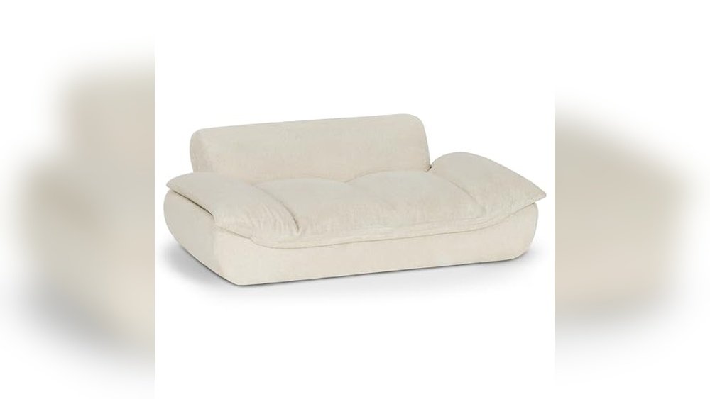 Best Sofa Fabric for Dogs