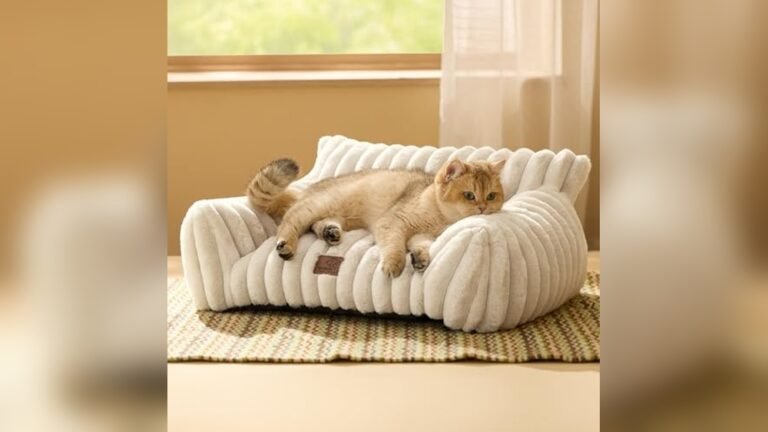 Best Sofa for Cat Owners