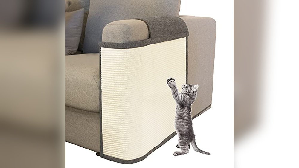 Best Sofa for Cat Scratching