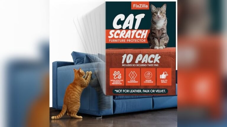 Best Sofa for Cats With Claws