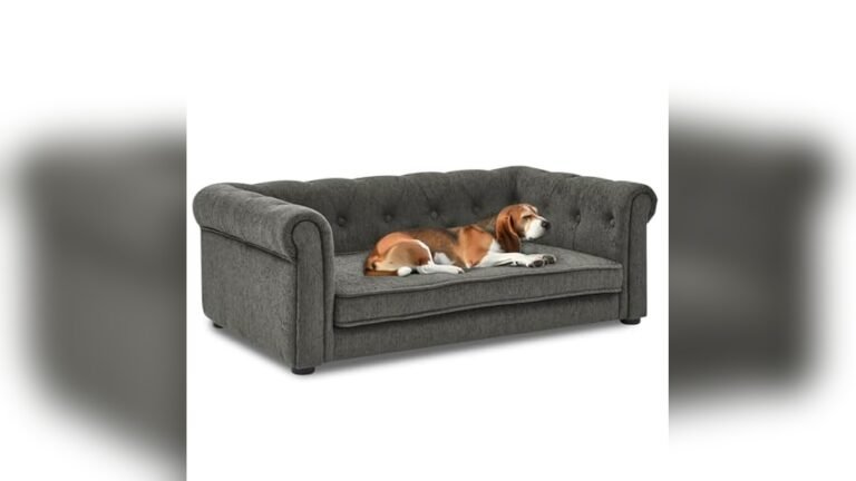 Best Sofa for Dogs That Shed