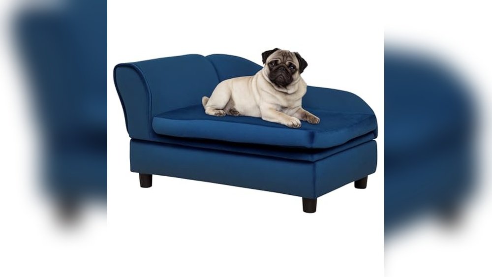 Best Sofa for Dogs Uk