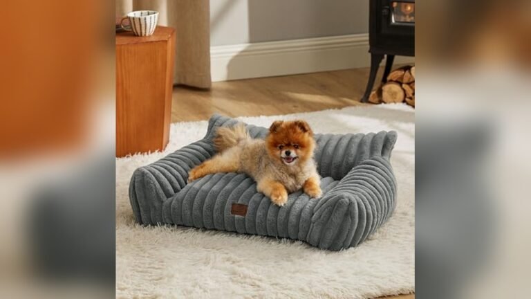 Best Sofa for Pet Owners