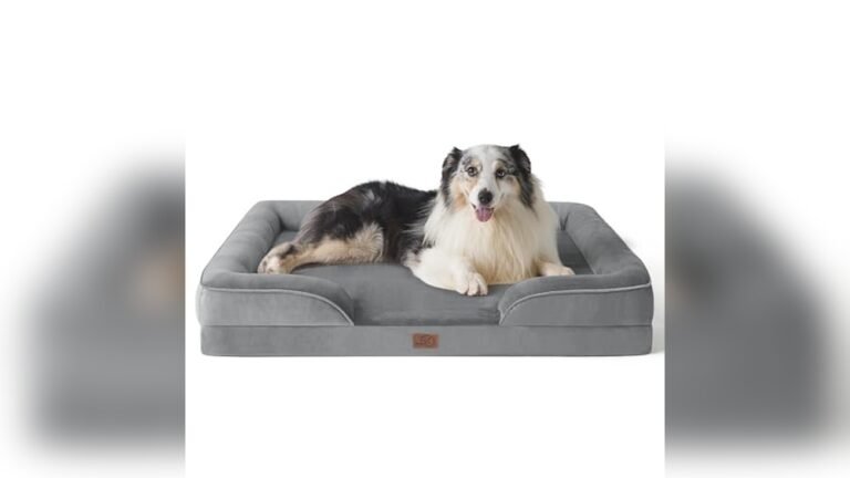Best Sofa Material for Dogs