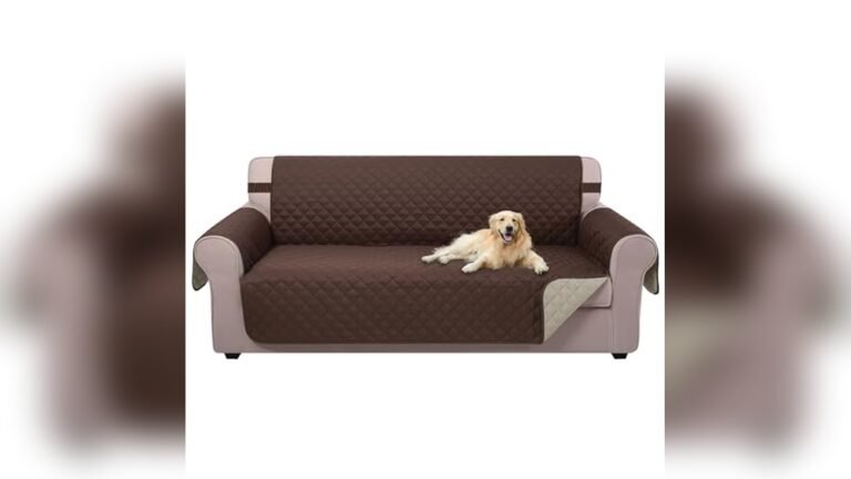 Best Sofa Material for Home