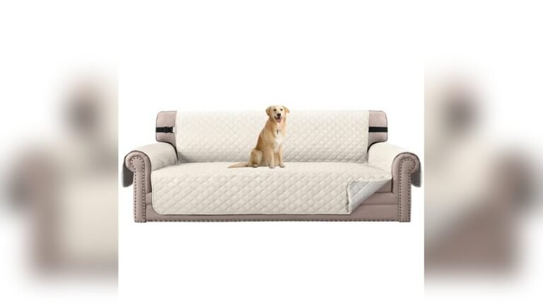 Best Sofa Material for Living Room