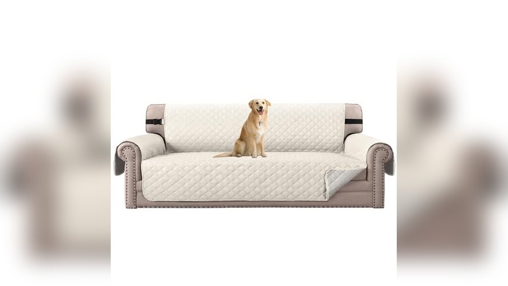 Best Sofa Material for Living Room