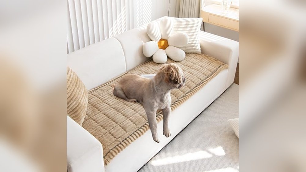 Best Sofa Material for Pet Owners