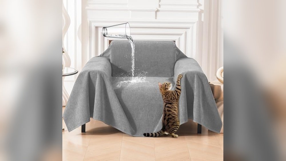 Best Sofa Material for Shedding Dogs