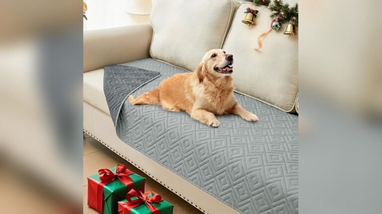 Best Sofa Throws for Dogs