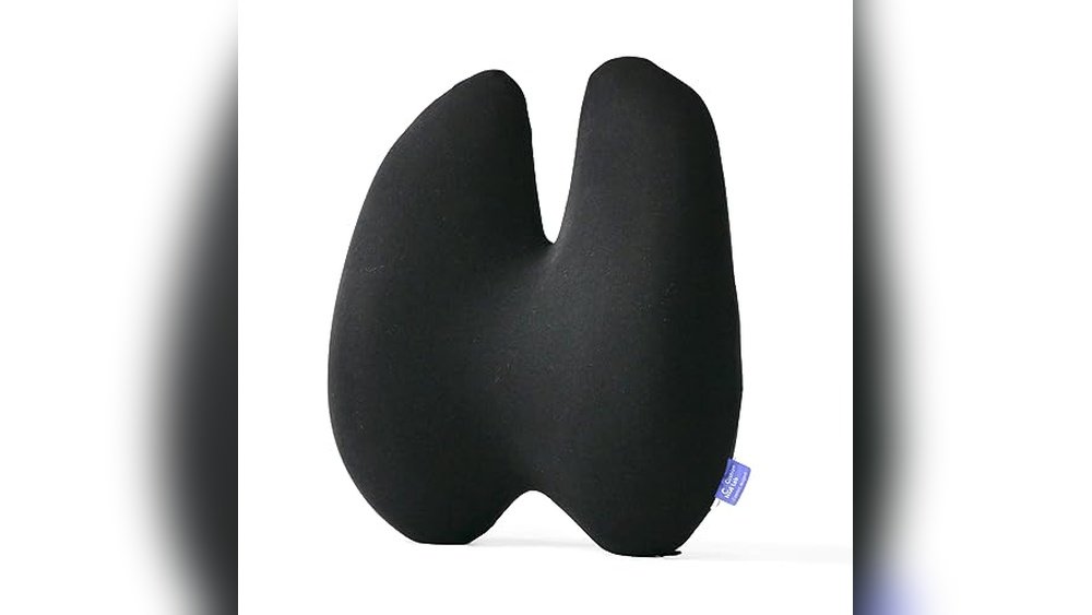 Best Sofas for Back Problems