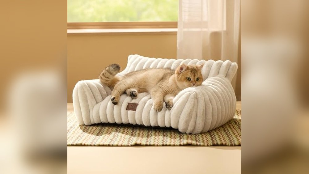 Best Sofas for Cat Owners