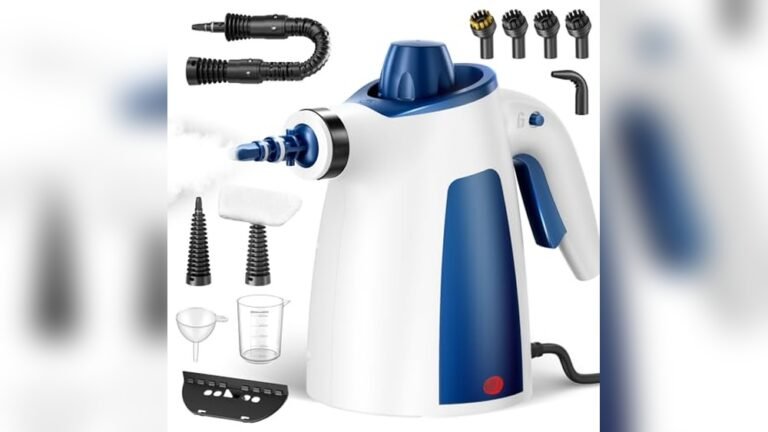 Best Steam Cleaner for Leather Sofa