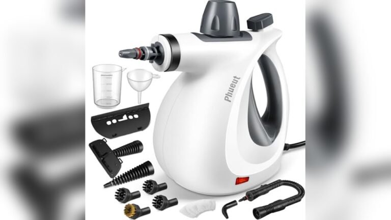 Best Steamer for Couch