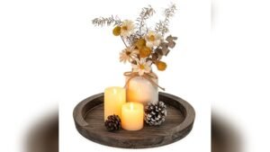 Best Tray Ideas for Coffee Table