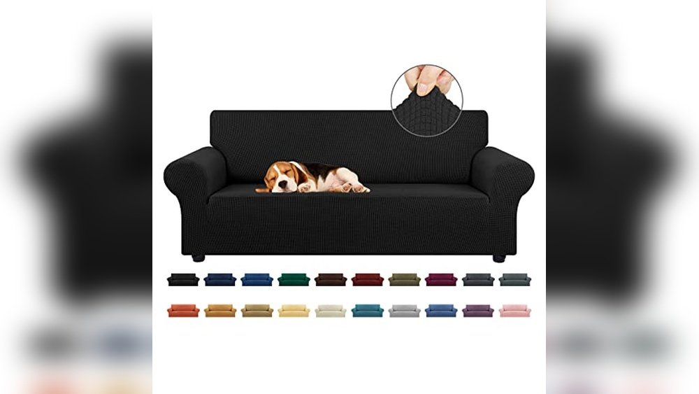 Best Type of Couch Fabric for Pets