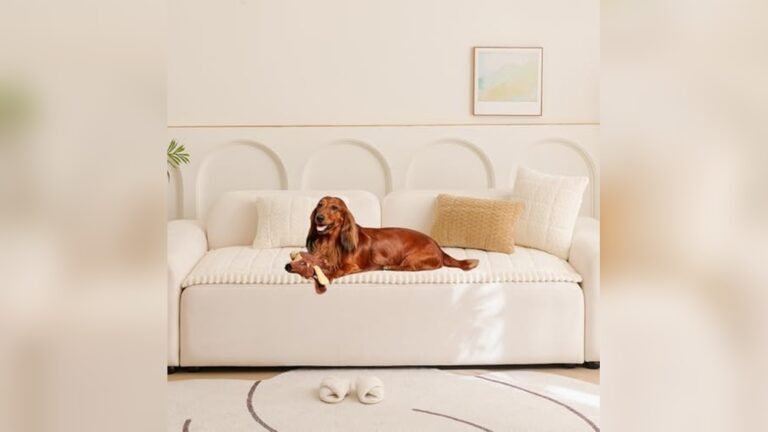 Best Type of Fabric for Sofa With Dogs