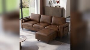 Best Type of Leather Couch for Dogs