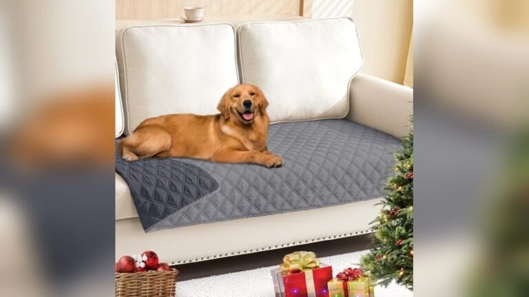 Best Type of Sofa Fabric for Dogs