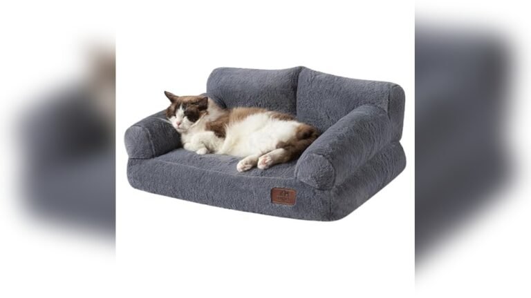 Best Type of Sofa for Cats