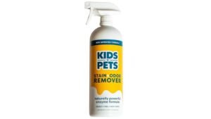 Best Urine Odor Remover for Couch