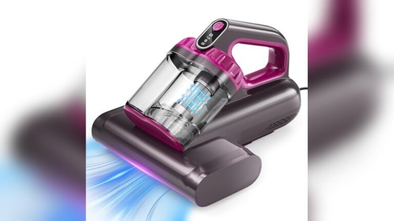 Best Vacuum for Bed And Sofa