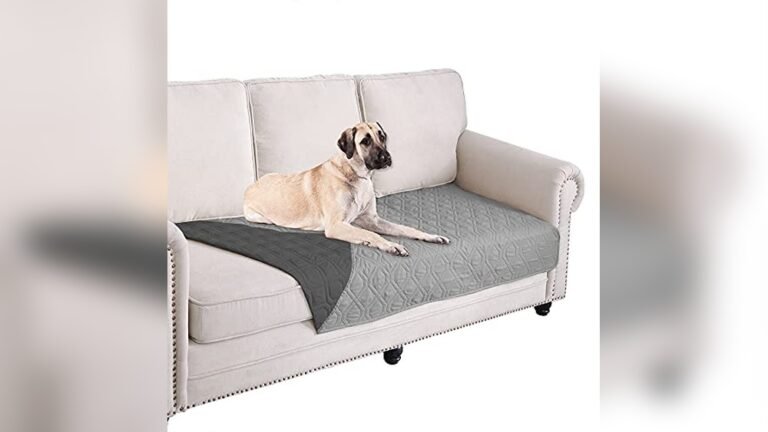 Best Waterproof Sofa Covers for Pets