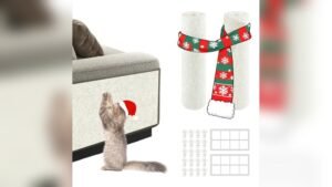 What Couch Fabric is Best for Cats